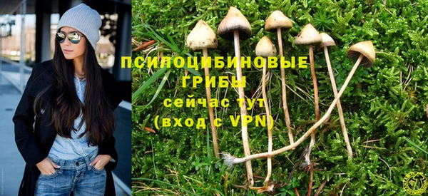 марки lsd Алексин